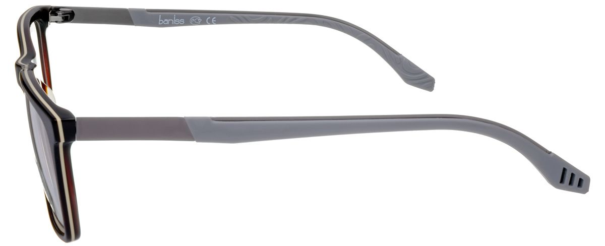 Baniss 8018 2